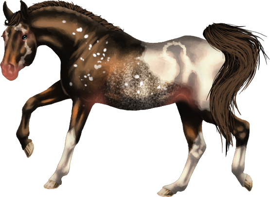 Disciplines | Horse Fable Wiki