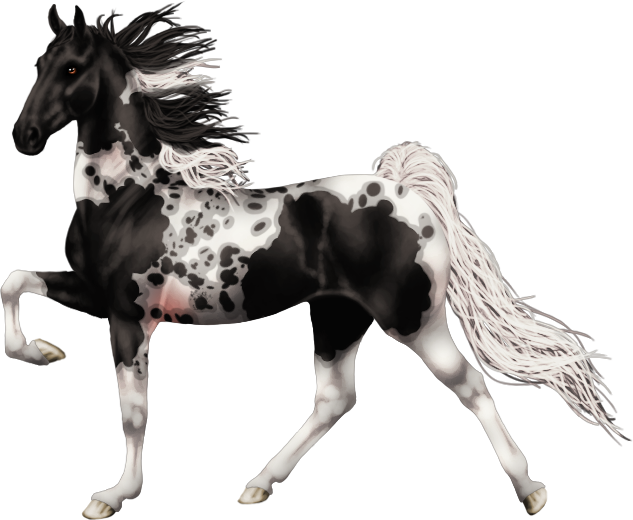 KIT | Horse Fable Wiki